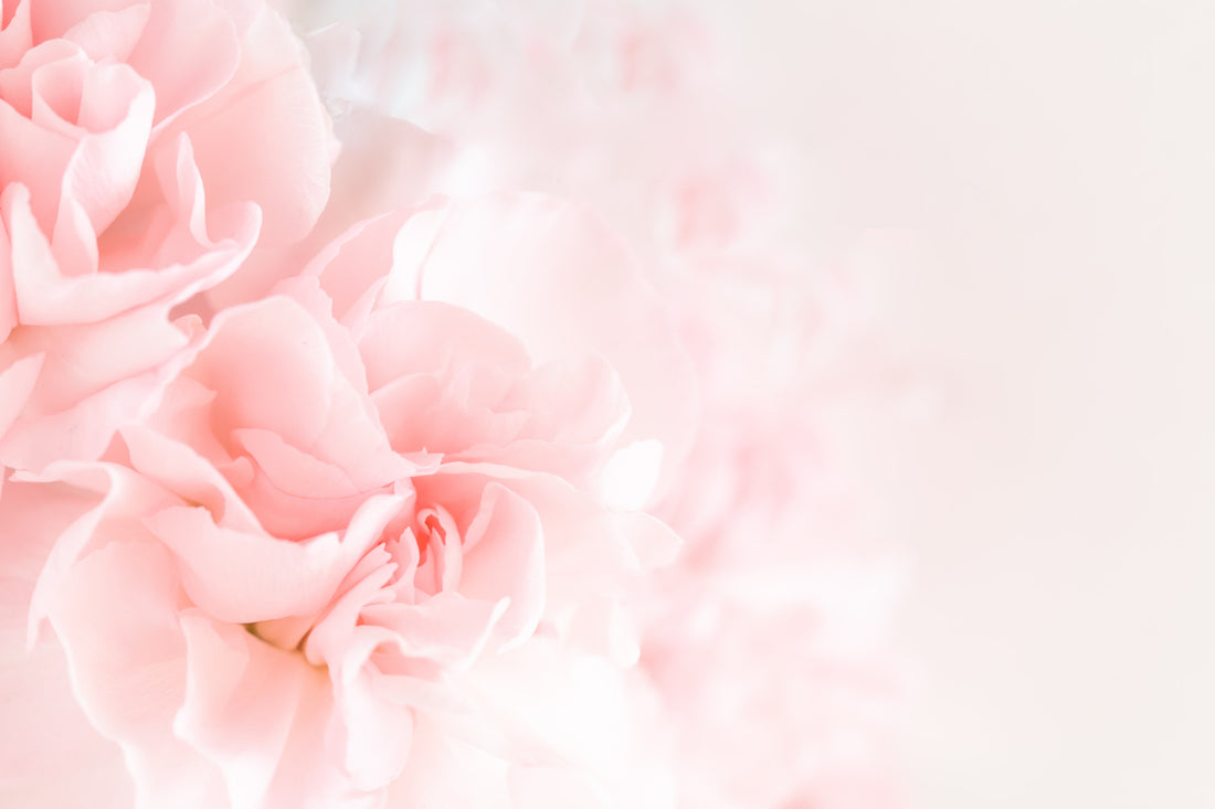How Do Florists Keep Flowers Fresh?