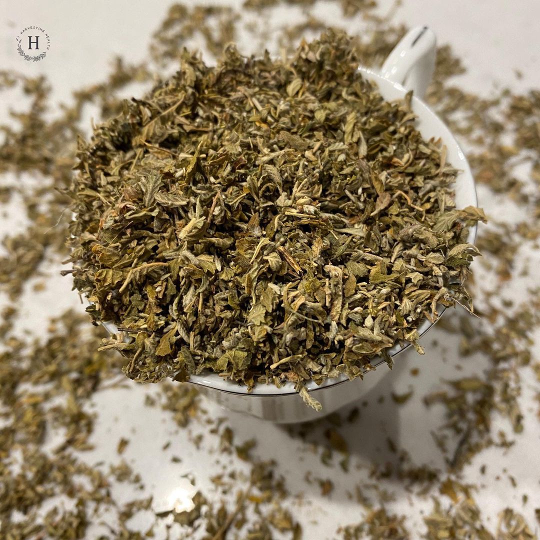 Harvesting Health - Energy & Vitality