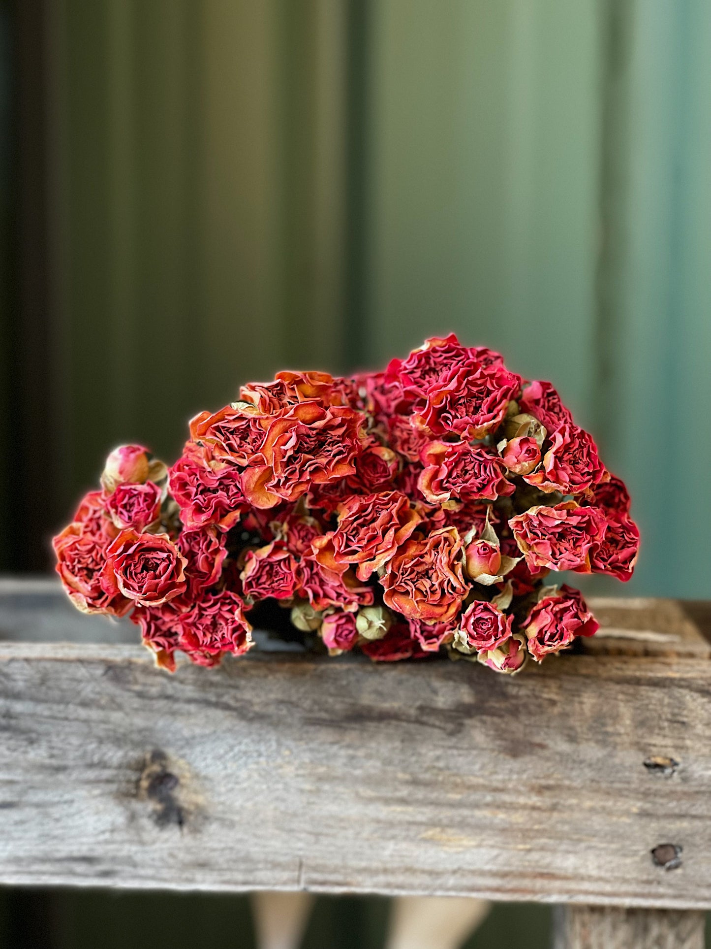 Dried bouquet of roses