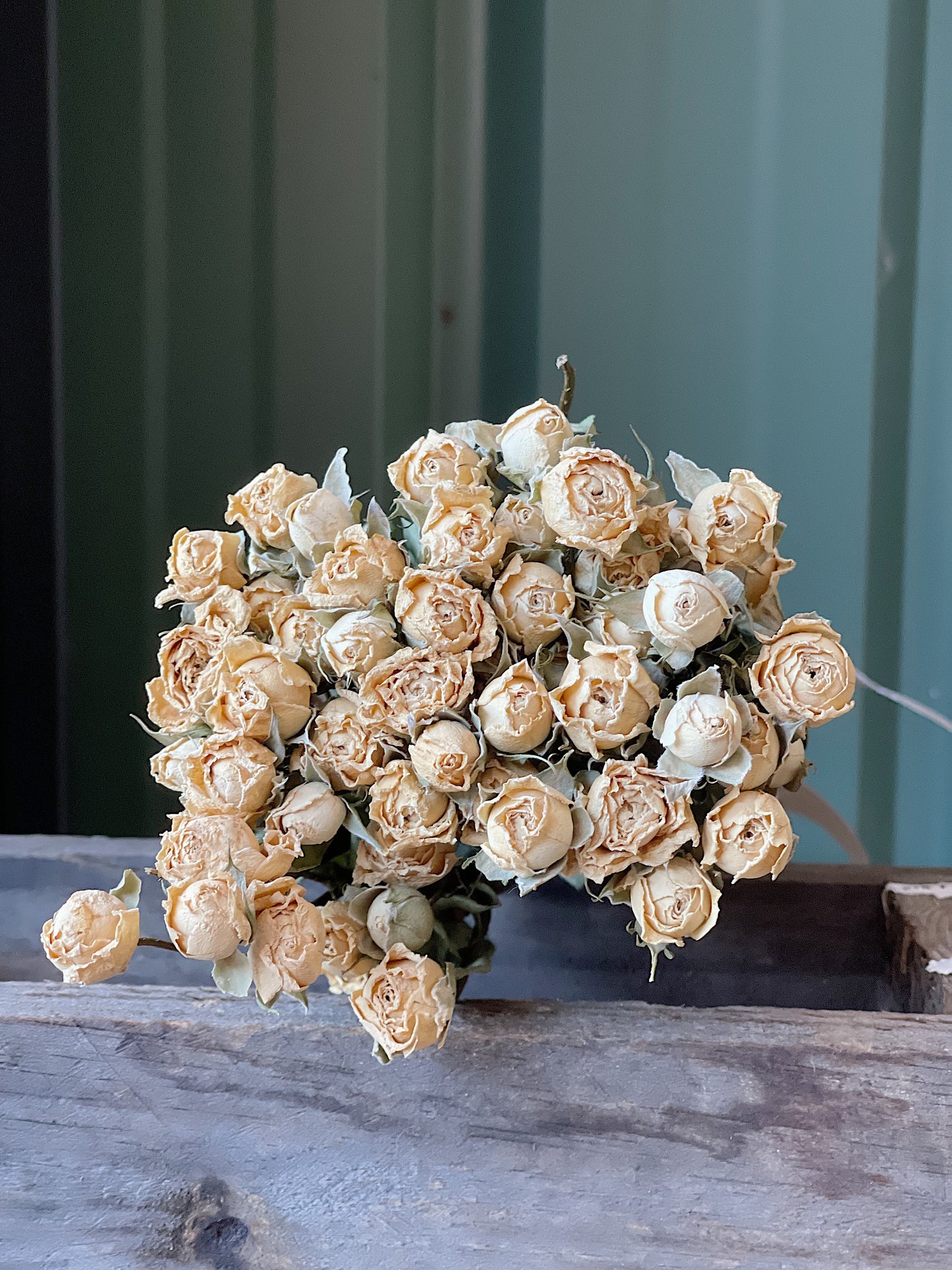 Dried bouquet of roses