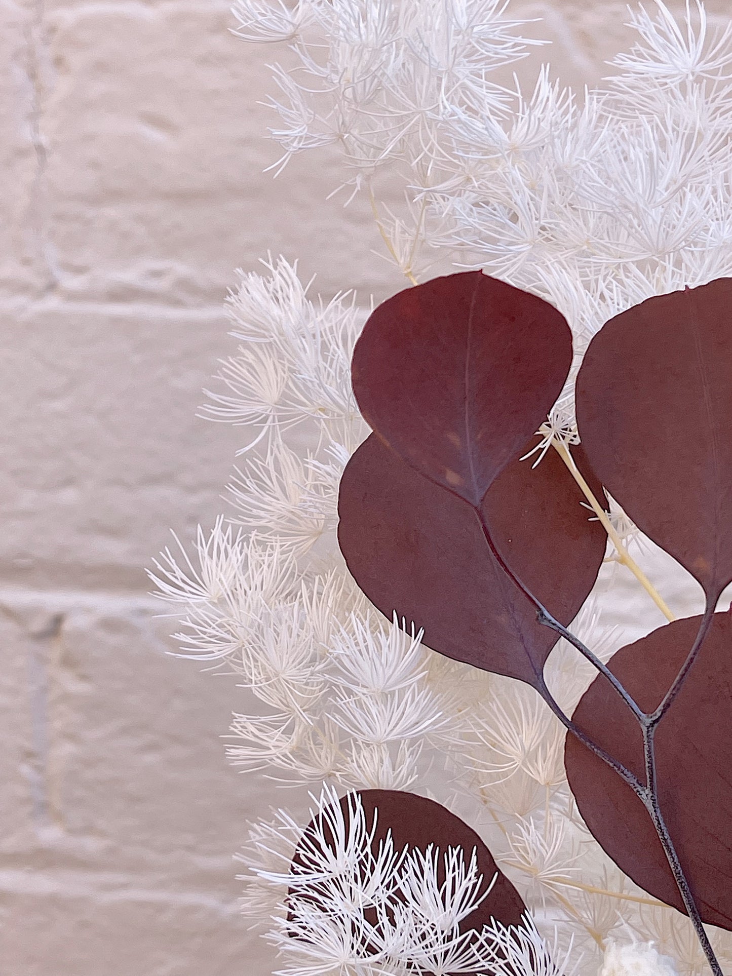 Dried arrangement "White Regency"