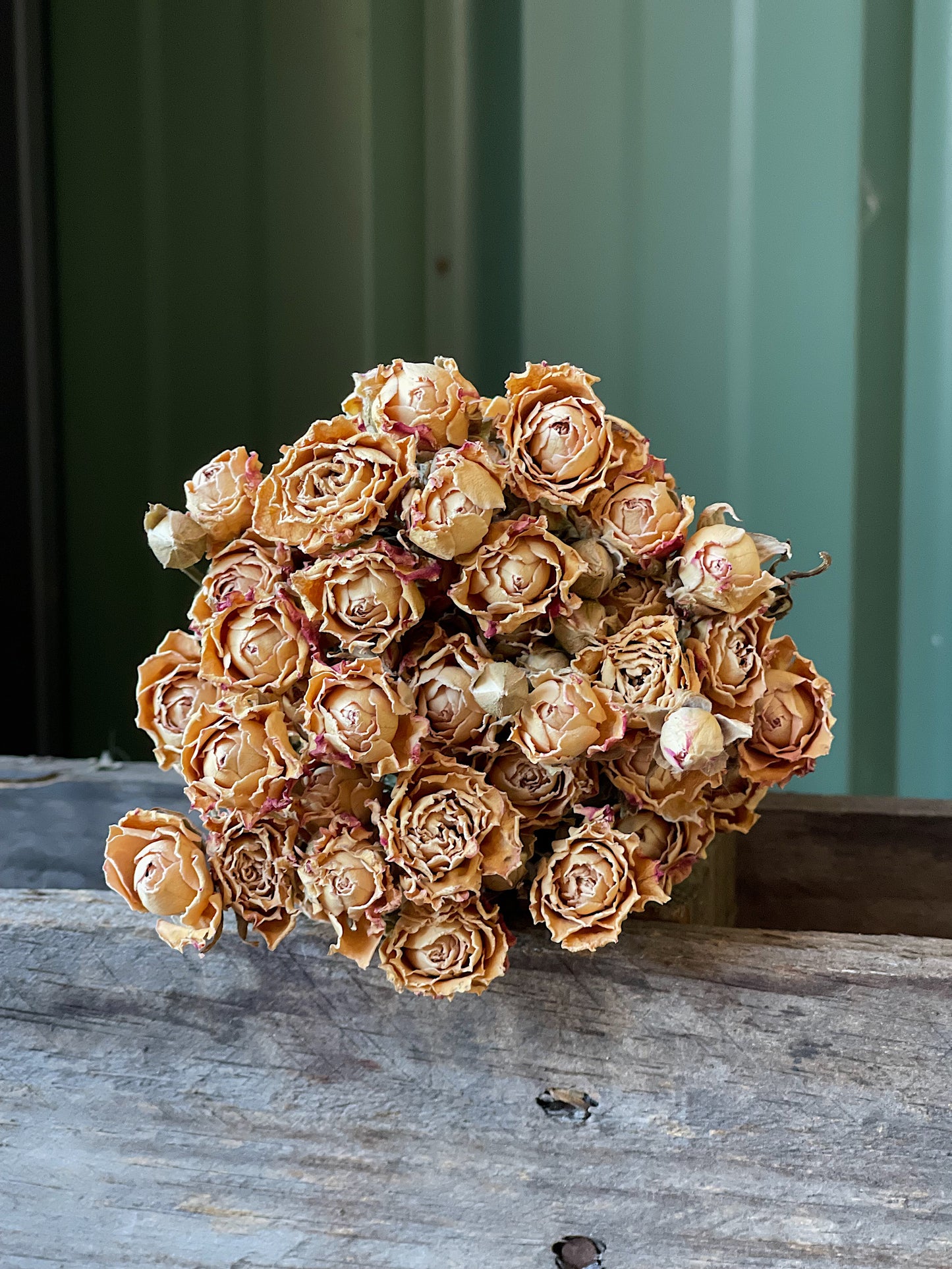 Dried bouquet of roses