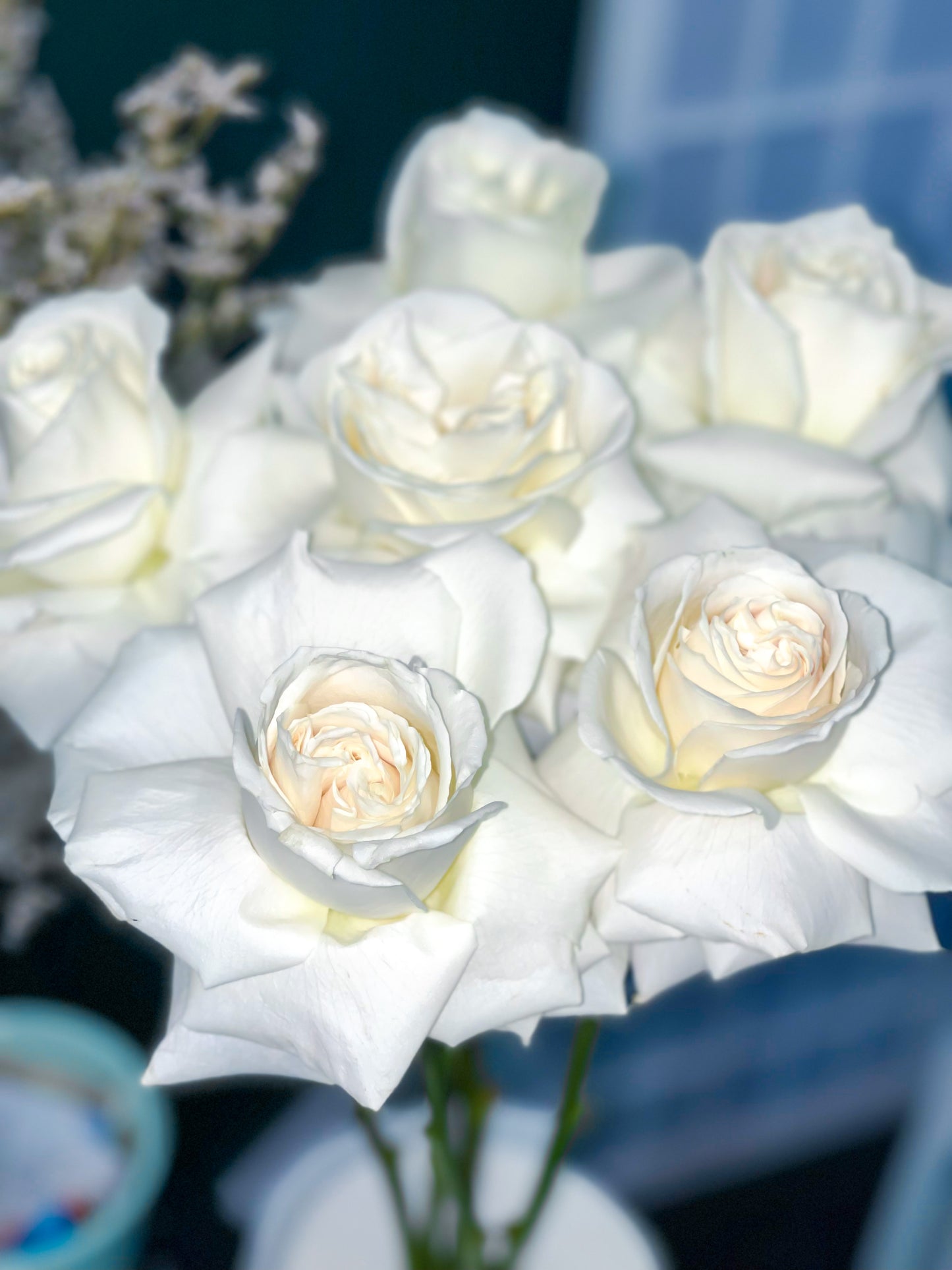 White Roses