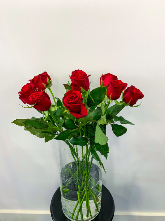 Local Red Roses