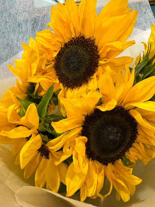 Flower Arrangement #11 Sunflowers