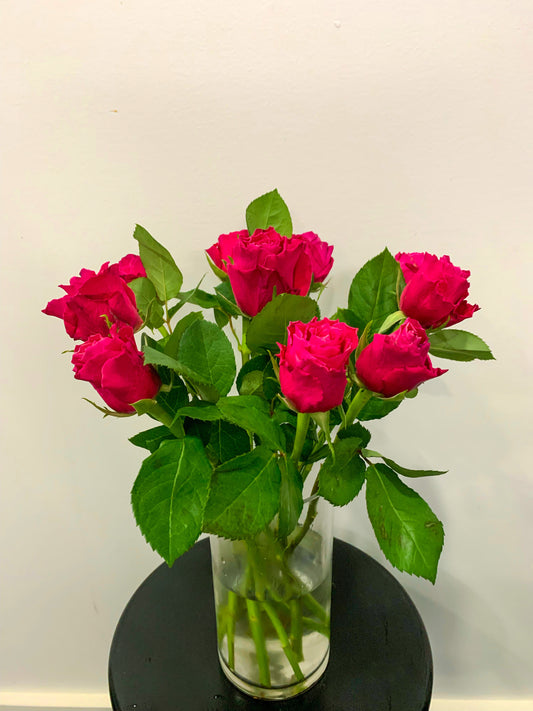 Local Pink Roses