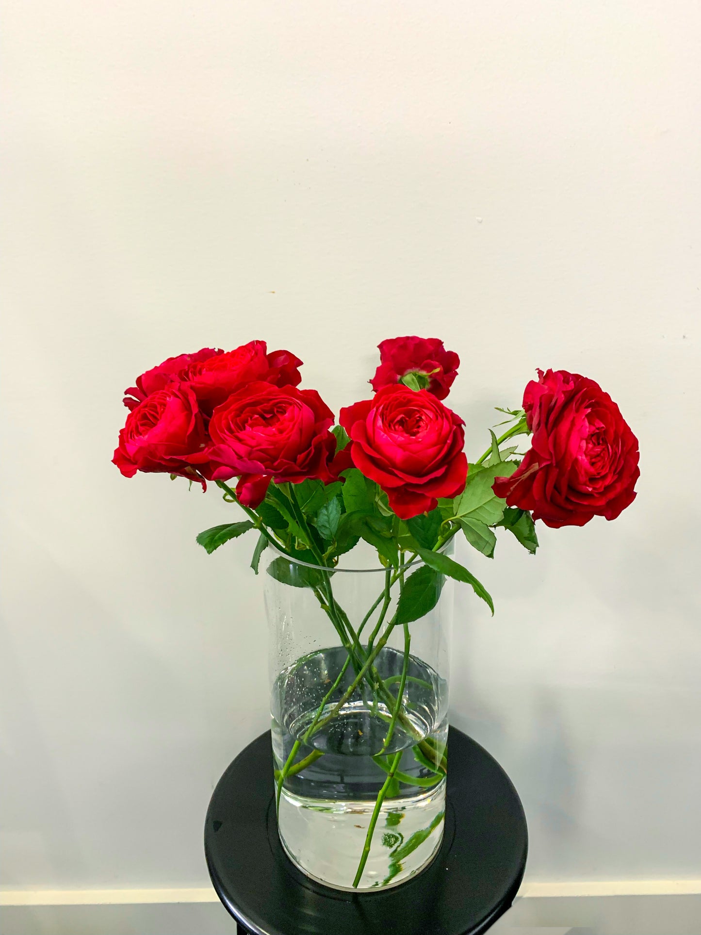 Local Red Roses