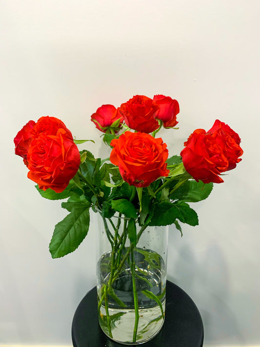 Local Coral Roses